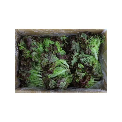 쫑상추(국내산) 4kg