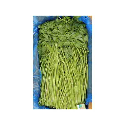 돌미나리(국내산) 4kg