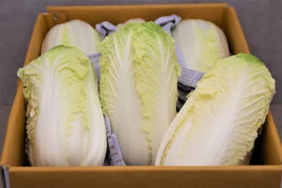알배기(국내산) 8kg