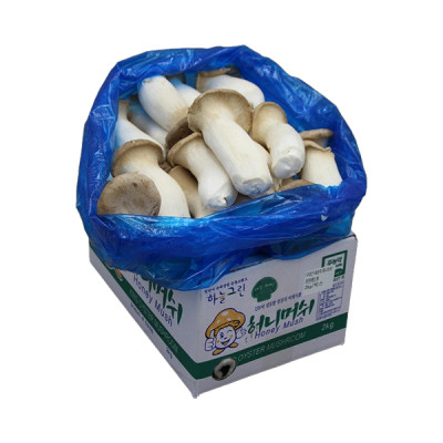새송이버섯(국내산) 2kg