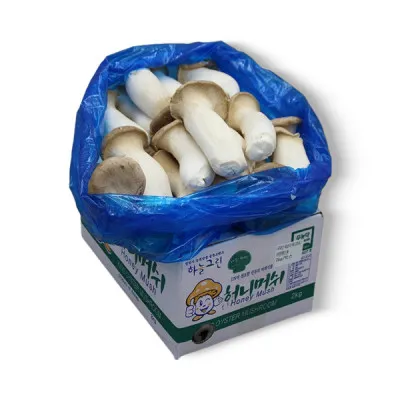 새송이버섯(특/국내산) 2kg