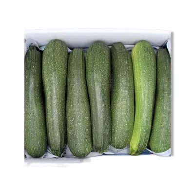 쥬키니(상/국내산) 10kg