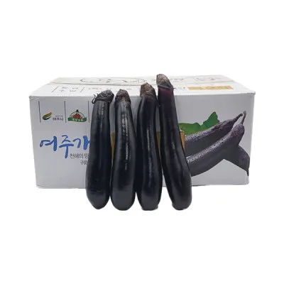 가지(상/국내산) 5kg