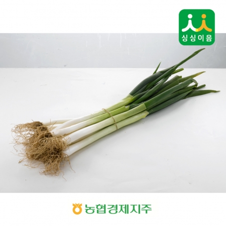 흙대파 국내산 1단