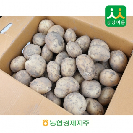 제주감자 20kg (왕특)   BOX