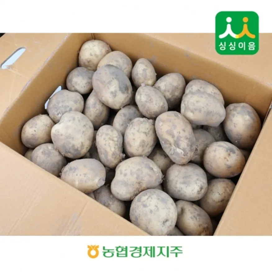 제주감자 20kg (왕특) BOX 이미지