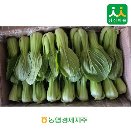 청경채4kg /국내산/ BOX