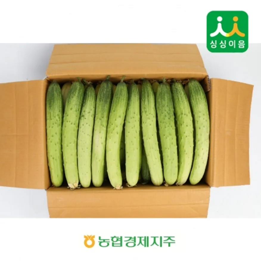 백오이 10kg(국내산, 상) 이미지