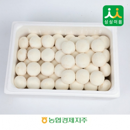 양송이버섯 2kg / BOX국내산