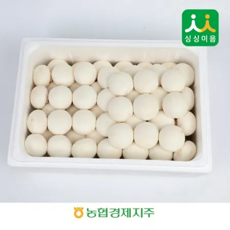 양송이버섯 2kg / BOX국내산