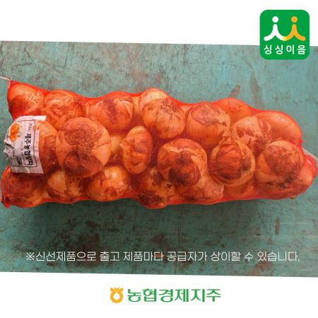 양파 15KG (국내산) 망