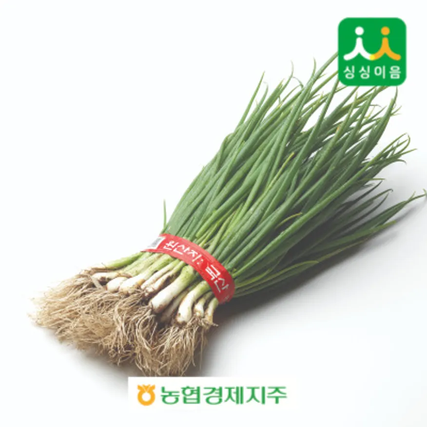 쪽파/소1단 / 국내산/ 단 이미지