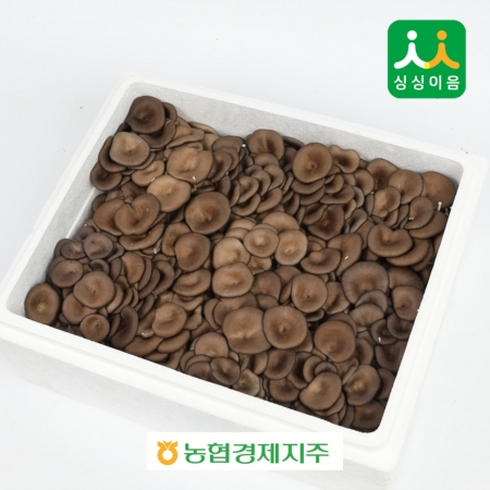 꽃느타리버섯 2kg (국내산)
