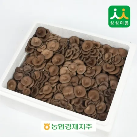 꽃느타리버섯 2kg (국내산)