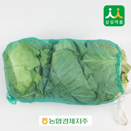 양배추 1망(3개입) (국내산) 42망
