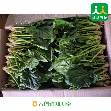 시금치4kg / 국내산/BOX