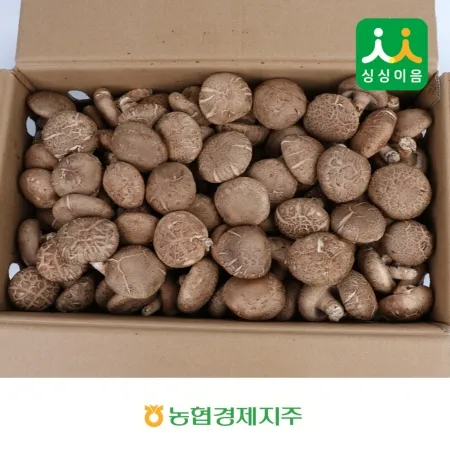 표고버섯 1kg (국내산)
