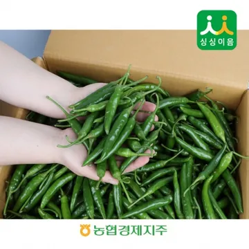청양고추 4kg (특,국내산) BOX