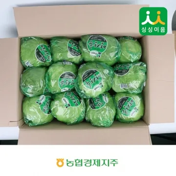 양상추12입/ 국내산/BOX