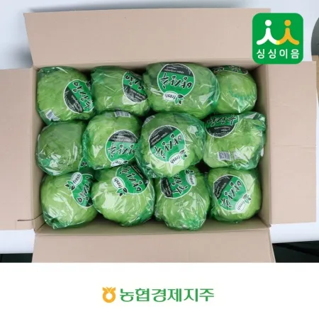 양상추12입/ 국내산/BOX
