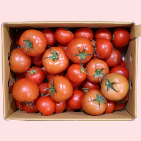 토마토 유럽종 완숙 쥬스용(크기/개수/숙성랜덤) 5kg