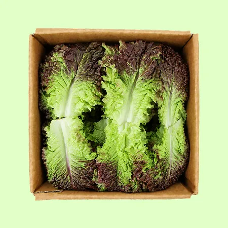 ⭐️꽃상추 적상추 (상 2kg/BOX)⭐️