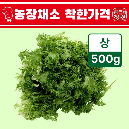 ⭐️치커리 (상 500g/EA️)⭐️