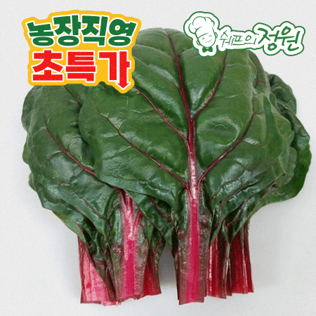 ⭐️적근대 (상 500g/EA️)⭐️