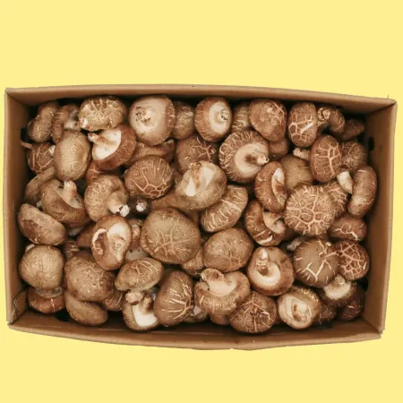 버섯  표고버섯(상, 수입산) 4kg