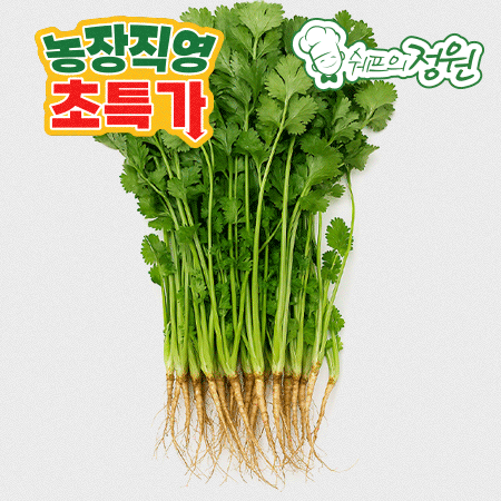 ⭐️고수 (1kg/EA) ⭐️