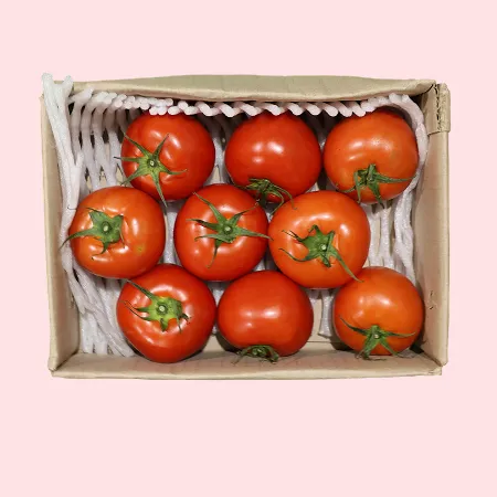 ❤️유럽종 완숙토마토 중과(10-14과) 2kg❤️
