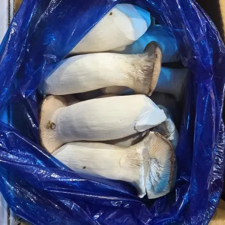 ⭐️한정수량 새송이버버섯(실속, 파지) 2kg 1봉⭐️ 이미지