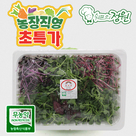 ⭐️베이비채소(어린잎 어린순 혼합) (500g/EA️) ⭐️
