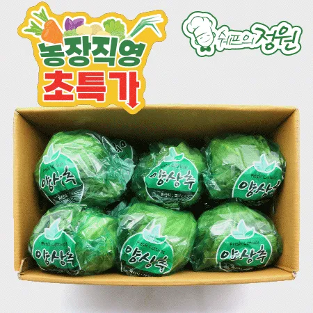 ❤️양상추 겉잎제거 개별포장 국내산(6입)❤️