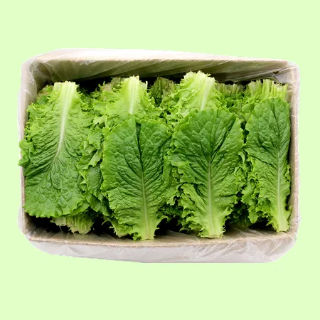 ❤️로메인상추 (상 2kg/BOX)❤️