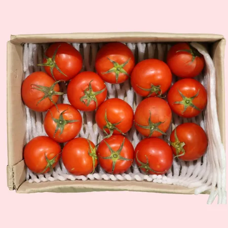 토마토 유럽종 완숙 소과(12과-16과) 2kg