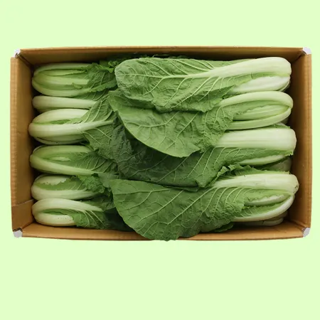 ❤️얼갈이 배추 (상 4kg/BOX)❤️