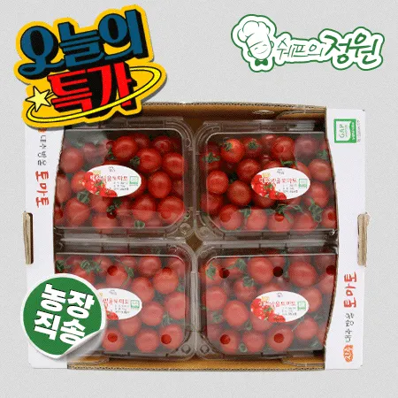 ❤️대추방울토마토 빨강 4호 (500g X 4팩,BOX)❤️
