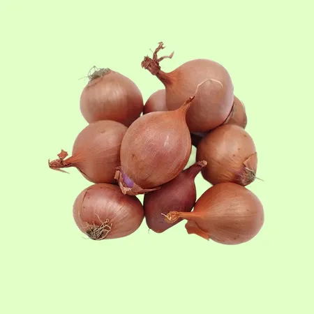 ⭐️샬롯 샬럿 수입산 (200g/EA️)⭐️