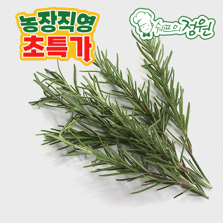 ⭐️허브 로즈마리 (10g/EA)⭐️