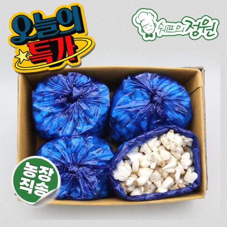 ★버섯특가★ 총알 새송이버섯(실속2Kg/BOX)