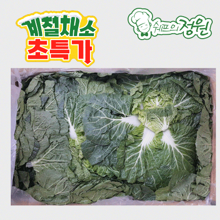 ❤️봄동배추 (15kg/BOX)❤️