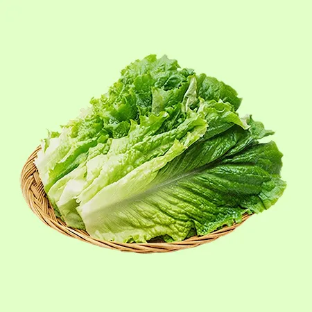 ⭐️청상추 상 (500g/EA️)⭐️