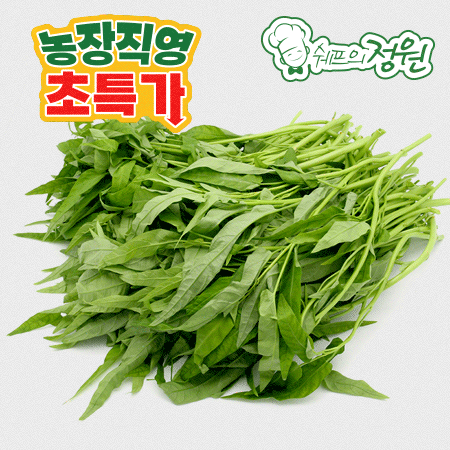 ⭐️공심채 (1kg/EA) ⭐️