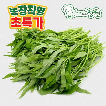 ⭐️공심채 (1kg/EA) ⭐️
