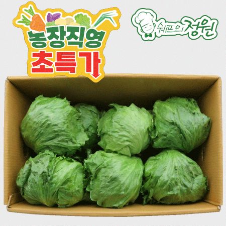 ❤️양상추 벌크 국산 (12통/BOX)❤️