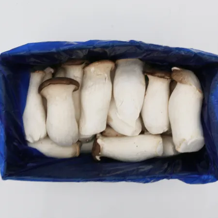 ⭐️새송이버섯(파지 비규격) 2kg⭐️