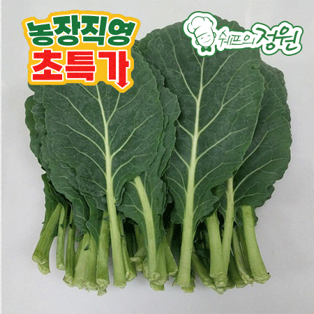 ❤️쌈케일 케일 (상 2kg/BOX)❤️