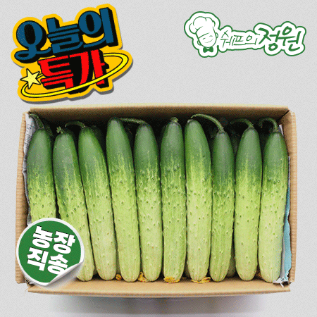 ❤️백오이 (상 10kg, 50개)❤️