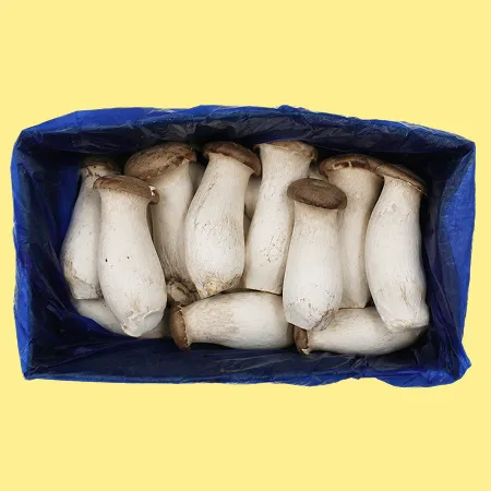 ⭐️새송이버섯 실속 (파지,반찬용) 2kg⭐️